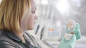 Female dental technician looking at plaster cast of jaws while making denture in dental laboratory. Female dentist