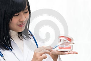Female dentist demonstrate brushing teeth with teeth model.
