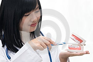 Female dentist demonstrate brushing teeth with teeth model