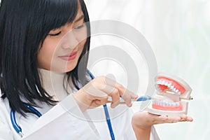 Female dentist demonstrate brushing teeth with teeth model
