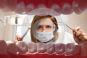 Female dentist with dental tools photo