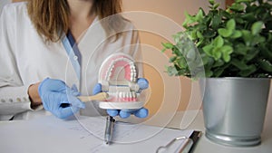 Female dentist holding professional stomatology tool and pointing at the teeth model. Dental hygiene and health concept