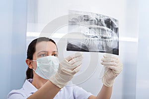 Female dentist looking at dental xray