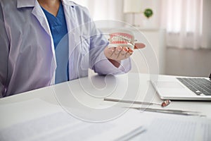 Female Dentist working in office