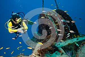 Female diver exploring a wreck