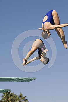 Female Diving From Springboard photo