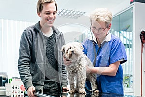 Female doctor examining dog