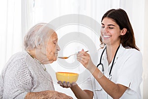 Female Doctor Feeding Soup To Senior Patient photo