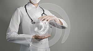 Unrecognizable doctor holding highlighted handrawn Stomach in hands. Medical illustration, template, science mockup