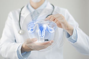 Unrecognizable doctor holding highlighted handrawn Uterus in hands. Medical illustration, template, science mockup photo