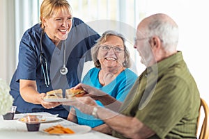 Female Doctor or Nurse Serving Senior Adult Couple Sandwiches at