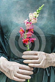 Female doctor or nurse with snapdragons flower in hands