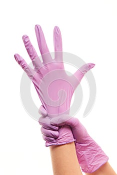 Female doctor's hands putting on purple sterilized surgical gloves