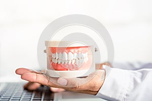 Female doctor sitting and hold tooth on desk at clinic office have laptop computer