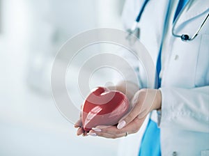 Female doctor with stethoscope holding heart, on light background