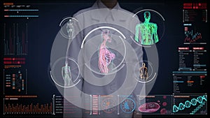 Female Doctor touching screen, Female body scanning blood vessel, lymphatic, circulatory system in digital display dashboard.