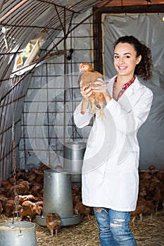 Female doctor in white coat holding chicken