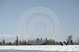 Female dog owner and trainer standing opposite to her three dogs patiently waiting for a recall