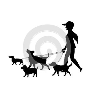 Female dog walker sitter walking with group of pets silhouette vector