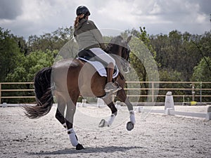 Female dressage rider training canter gait or gallop.