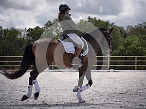 Female dressage rider training canter gait or gallop on the arena.