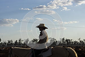 Female drover herding cattle photo