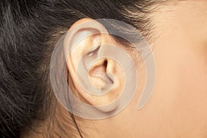 Female ear