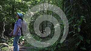 Female ecologist with backpack walking and exploring the nature in tropical rainforest.