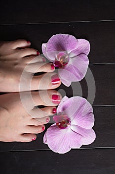 Female elegance feet red pedicure nails spa therapy