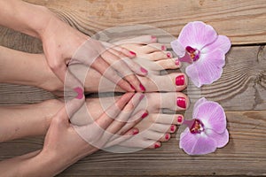 Female elegance feet red pedicure nails spa therapy