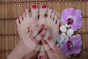 Female elegance feet red pedicure nails spa therapy