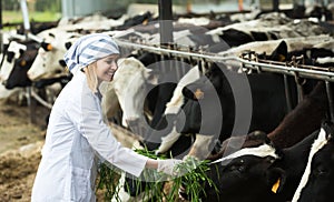 Female employee in cowhouse outdoors