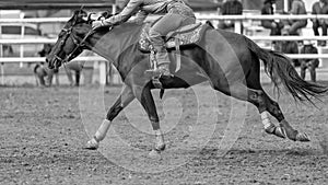 Female Equestrian Barrel Racing