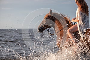 Female equestrian riding her horse into the majestic sunset, with the ocean waves crashing.