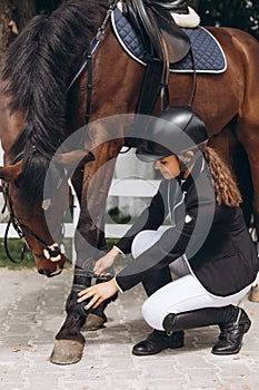 Female equestrian saddling horse. Professional woman preparing horse. Sports concept. Equestrian sport