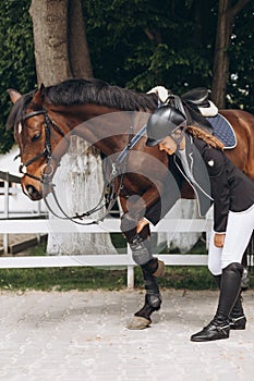 Female equestrian saddling horse. Professional woman preparing horse. Sports concept. Equestrian sport