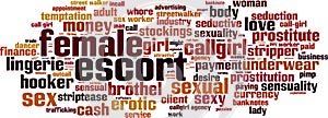 Female escort word cloud