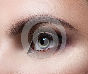 Female eye close-up. Perfect makeup and eyebrows. Beautiful gray eyes