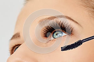 Female eye with extreme long eyelashes and brush of mascara. Make-up, cosmetics, beauty