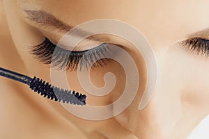 Female eye with extreme long eyelashes and brush of mascara. Make-up, cosmetics, beauty