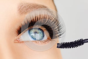 Female eye with extreme long eyelashes and brush of mascara. Make-up, cosmetics, beauty