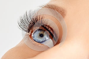 Female eye with extreme long false eye lashes. Eyelash extensions, make-up, cosmetics, beauty