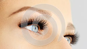 Female eye with extreme long false eyelashes and black liner. Eyelash extensions, make-up, cosmetics, beauty