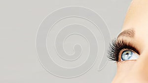 Female eye with extreme long false eyelashes and black liner. Eyelash extensions, make-up, cosmetics, beauty