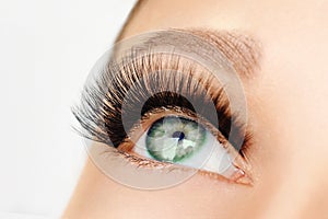 Female eye with extreme long false eyelashes and black liner. Eyelash extensions, make-up, cosmetics, beauty