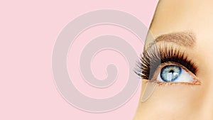 Female eye with extreme long false eyelashes and black liner. Eyelash extensions, make-up, cosmetics, beauty