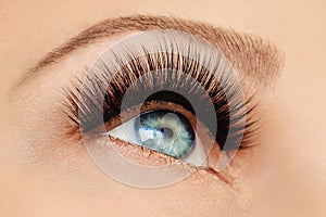 Female eye with extreme long false eyelashes and black liner. Eyelash extensions, make-up, cosmetics, beauty