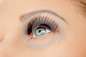 Female eye with extreme long false eyelashes and black liner. Eyelash extensions, make-up, cosmetics, beauty