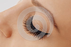 Female eye with extreme long false eyelashes and black liner. Eyelash extensions, make-up, cosmetics, beauty