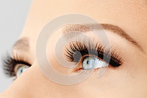 Female eye with extreme long false eyelashes and black liner. Eyelash extensions, make-up, cosmetics, beauty